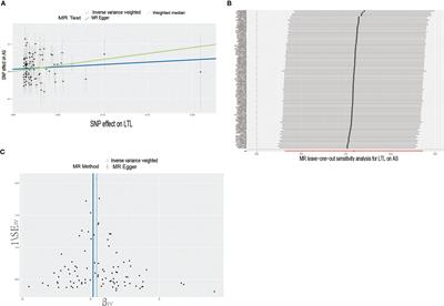 Assessing the association of leukocyte telomere length with ankylosing spondylitis and rheumatoid arthritis: A bidirectional Mendelian randomization study